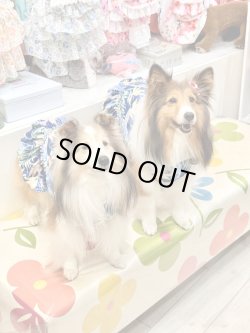 画像4: ライトツーウェイ☆ストレリチア柄フェミニンワンピ（ブルー）・１号