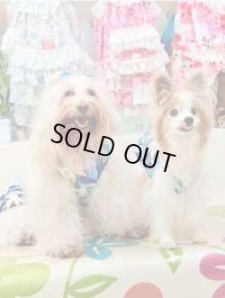 画像8: ライトツーウェイ☆ストレリチア柄フェミニンワンピ（ブルー）・１号