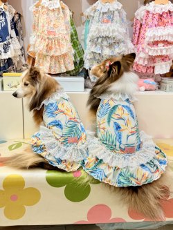 画像2: ライトツーウェイ☆ストレリチア柄ガーリーワンピ（アイボリー）・４号