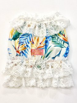 画像1: ライトツーウェイ☆ストレリチア柄ビスチェ（アイボリー）・３号