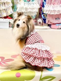 画像4: レースコットン☆ギンガム柄スーパーガーリーワンピ（レッド）・５号