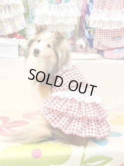 画像4: レースコットン☆ギンガム柄スーパーガーリーワンピ（レッド）・３号