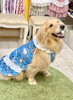 画像7: ツーウェイ☆ブルーハート柄ガーリーワンピ・９号