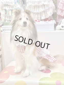 画像6: レースコットン☆ギンガム柄ガーリーワンピ（レッド）・５号