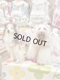 画像3: レースコットン☆ギンガム柄ガーリーワンピ（レッド）・５号