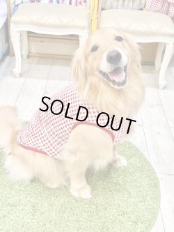 画像11: レースコットン☆ギンガム柄タンク（レッド）・７号