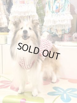 画像2: レースコットン☆ギンガム柄タンク（レッド）・７号