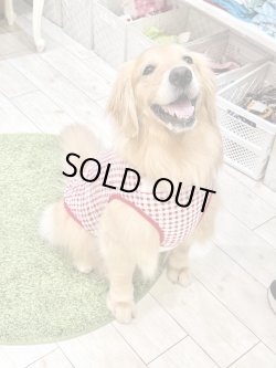 画像10: レースコットン☆ギンガム柄タンク（レッド）・７号