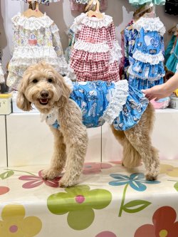 画像6: ツーウェイ☆ブルーハート柄ガーリーワンピ・９号