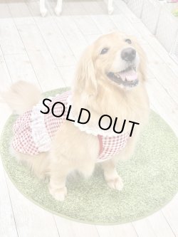 画像9: レースコットン☆ギンガム柄スーパーガーリーワンピ（レッド）・３号