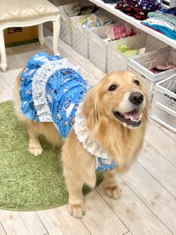 画像10: ツーウェイ☆ブルーハート柄ガーリーワンピ・９号