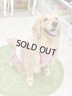 画像8: レースコットン☆ギンガム柄ガーリーワンピ（レッド）・５号