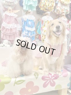 画像11: レースコットン☆ギンガム柄ガーリーワンピ（レッド）・５号