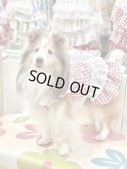 画像4: レースコットン☆ギンガム柄ガーリーワンピ（レッド）・５号