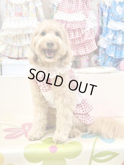 画像7: レースコットン☆ギンガム柄スーパーガーリーワンピ（レッド）・３号