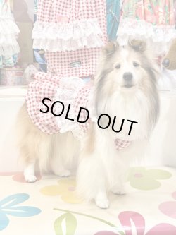 画像3: レースコットン☆ギンガム柄スーパーガーリーワンピ（レッド）・３号