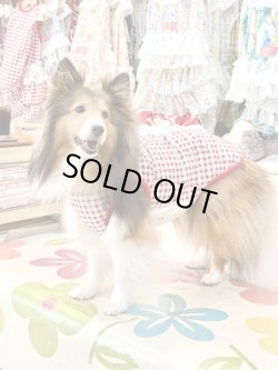 画像6: レースコットン☆ギンガム柄タンク（レッド）・７号