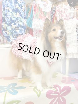 画像6: レースコットン☆ギンガム柄スーパーガーリーワンピ（レッド）・３号