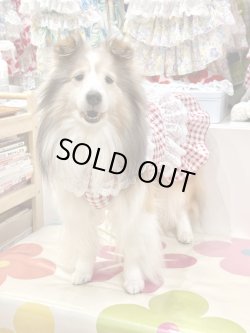 画像2: レースコットン☆ギンガム柄ガーリーワンピ（レッド）・５号