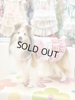 画像2: レースコットン☆ギンガム柄スーパーガーリーワンピ（レッド）・３号