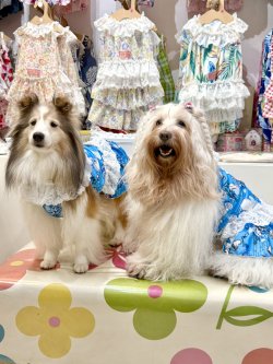 画像3: ツーウェイ☆ブルーハート柄ガーリーワンピ・９号