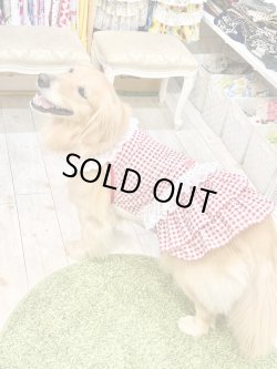 画像11: レースコットン☆ギンガム柄スーパーガーリーワンピ（レッド）・３号