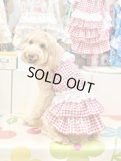 画像8: レースコットン☆ギンガム柄スーパーガーリーワンピ（レッド）・３号