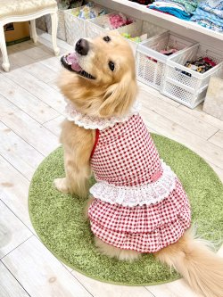 画像10: レースコットン☆ギンガム柄スーパーガーリーワンピ（レッド）・５号