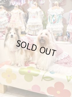 画像5: レースコットン☆ギンガム柄スーパーガーリーワンピ（レッド）・３号