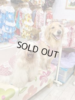 画像12: レースコットン☆ギンガム柄ガーリーワンピ（レッド）・５号