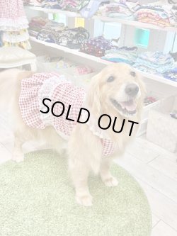 画像9: レースコットン☆ギンガム柄ガーリーワンピ（レッド）・５号