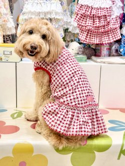 画像7: レースコットン☆ギンガム柄フェミニンワンピ（レッド）・０号