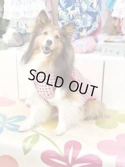 画像5: レースコットン☆ギンガム柄タンク（レッド）・７号