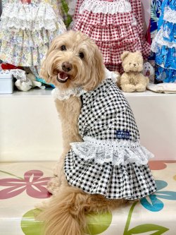 画像6: レースコットン☆ギンガム柄ガーリーワンピ（ブラック）・２号