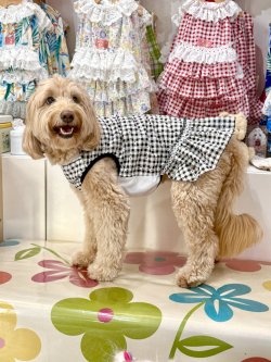 画像7: レースコットン☆ギンガム柄フェミニンワンピ（ブラック）・０号