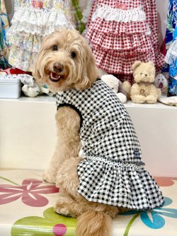 画像8: レースコットン☆ギンガム柄フェミニンワンピ（ブラック）・０号