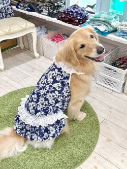 画像12: ツーウェイ☆ネイビーボタニカル柄ガーリーワンピ・２号