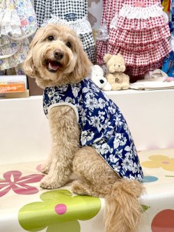 画像5: ツーウェイ☆ネイビーボタニカル柄タンク・０号