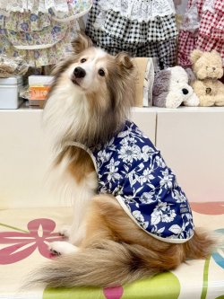 画像3: ツーウェイ☆ネイビーボタニカル柄タンク・０号