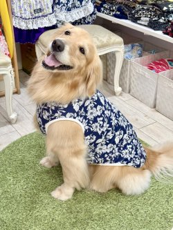 画像6: ツーウェイ☆ネイビーボタニカル柄タンク・０号