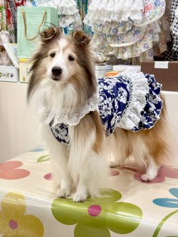 画像4: ツーウェイ☆ネイビーボタニカル柄ガーリーワンピ・２号