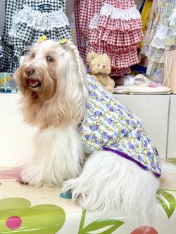 画像3: パープルローズ柄タンク・１０号