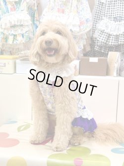 画像5: パープルローズ柄ガーリーワンピ・１号