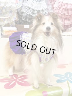 画像7: パープルローズ柄フェミニンワンピ・９号