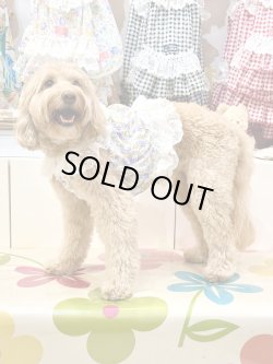 画像5: パープルローズ柄ガーリービスチェ・２号