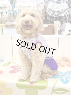 画像9: パープルローズ柄フェミニンワンピ・９号