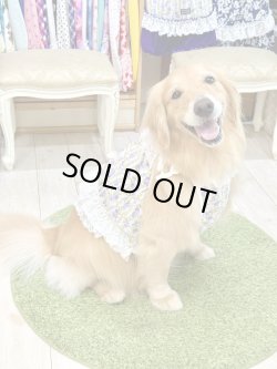 画像9: パープルローズ柄ガーリービスチェ・２号