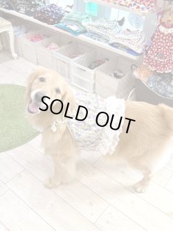 画像8: パープルローズ柄ガーリービスチェ・２号