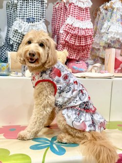 画像8: ツーウェイ☆グラフィティハート柄フェミニンワンピ・５号