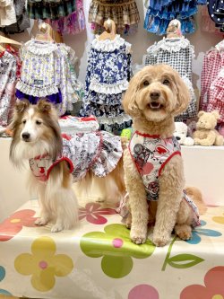 画像3: ツーウェイ☆グラフィティハート柄フェミニンワンピ・５号